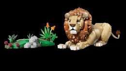 Lego Creator 31386 Majestic Lion