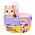 Little Live Pets Mama Surprise Kittens Playset