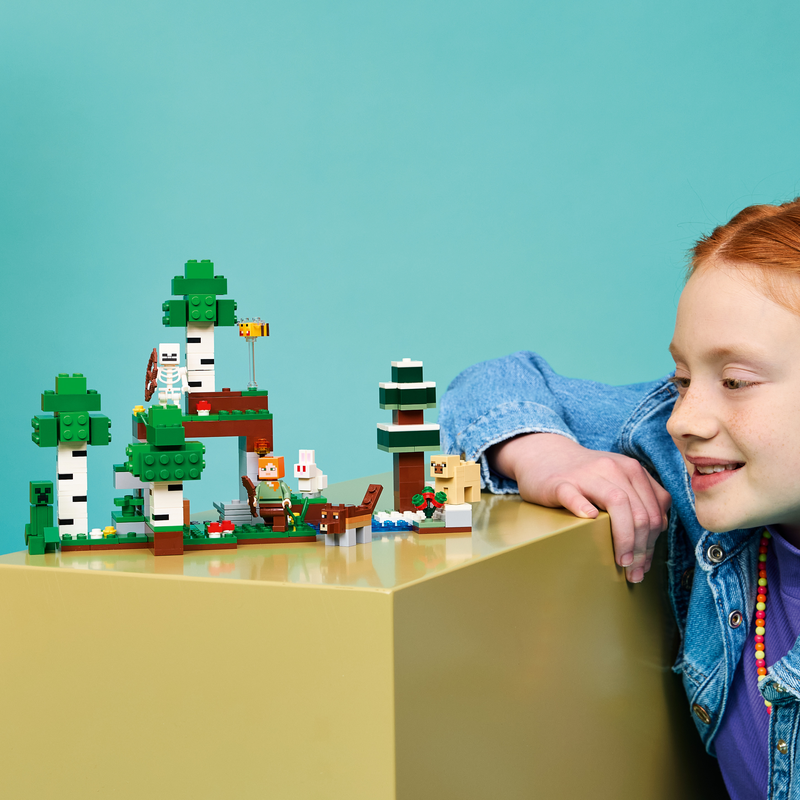 Lego Minecraft 21593 First Night Adventure