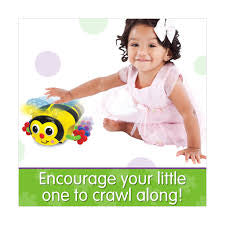 Crawl About Bee
