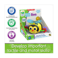 Crawl About Bee