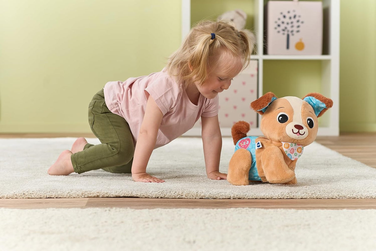 Vtech Baby Walk & Wag Puppy