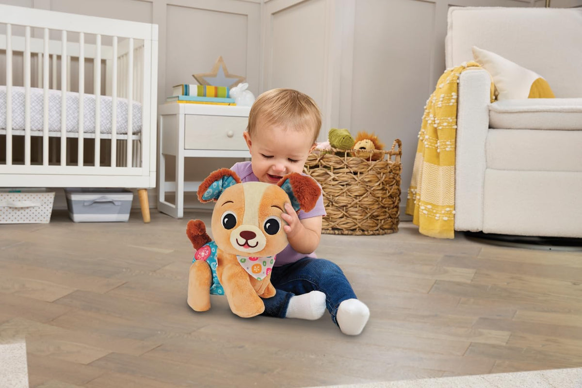 Vtech Baby Walk & Wag Puppy