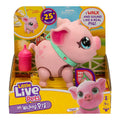 Little Live Pets My Pet  - Piggly
